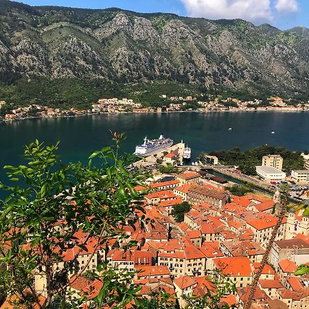 Apartment Maritimo Kotor Buitenkant foto