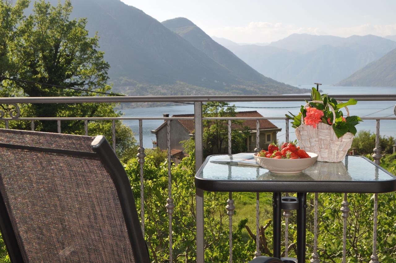 Apartment Maritimo Kotor Buitenkant foto