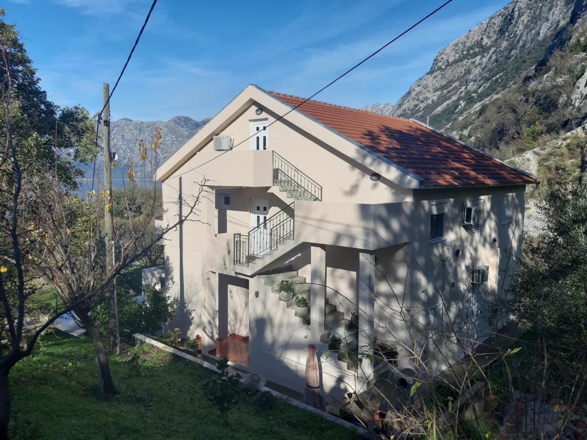 Apartment Maritimo Kotor Buitenkant foto